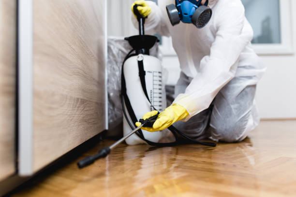 Best Local Pest Control Services  in Ludlow, KY