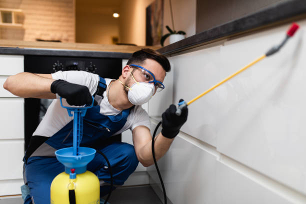 Best Residential Pest Control  in Ludlow, KY