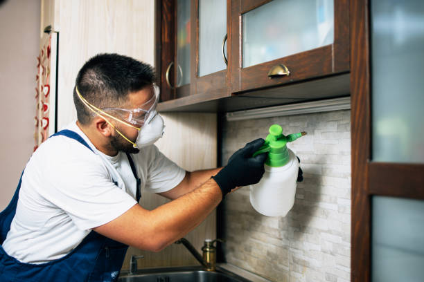 Best Pest Removal Services  in Ludlow, KY