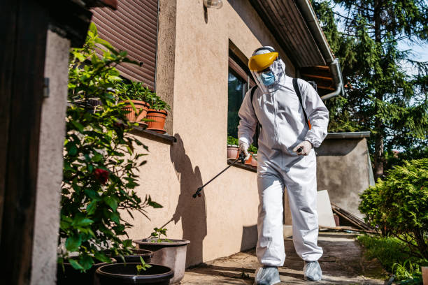 Best Wildlife Control Services  in Ludlow, KY