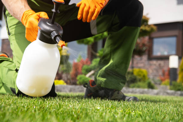 Best Insect Control  in Ludlow, KY