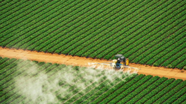 Best Best Pest Control Companies  in Ludlow, KY