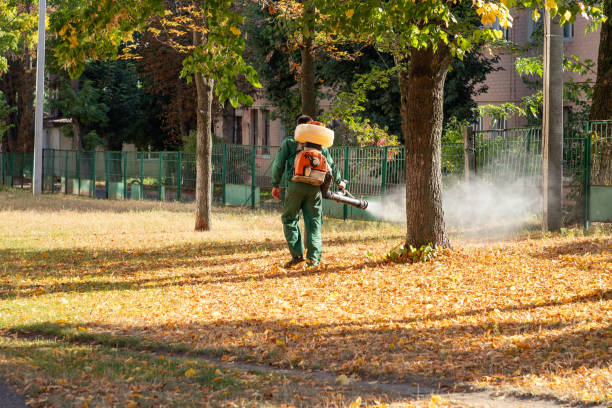 Pest Prevention Services in Ludlow, KY